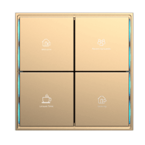 Citron Switch Gold (2509)