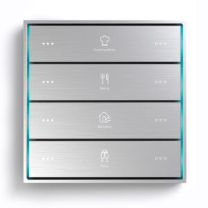 Citron Switch Silver (2513)