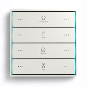 Citron Switch White (2511)