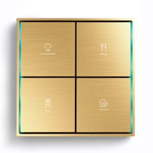 Citron Switch Gold (2506)