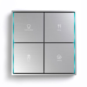 Citron Switch Grey (2508)
