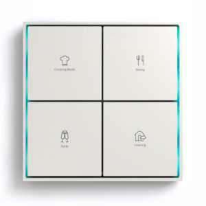 Citron Switch White (2502)