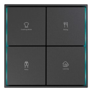 Citron Switch Black (2503)