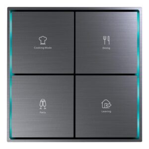 Citron Switch Grey (2505)