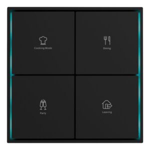Citron Switch Black (2501)