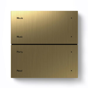 Citron Switch Bronze (2572)