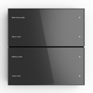 Citron Switch Black (2574)