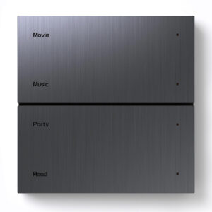 Citron Switch Grey (2571)