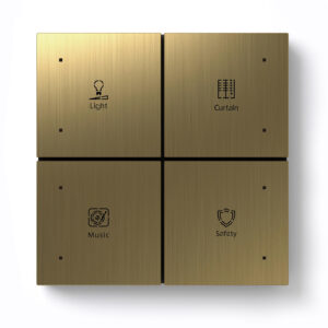 Citron Switch Bronze (2569)