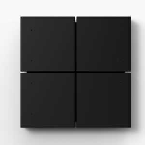 Citron Switch Black (2541)