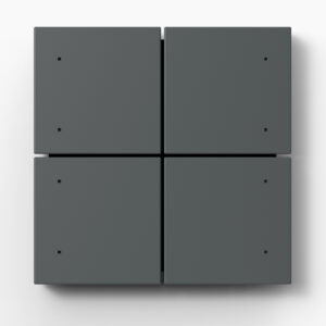 Citron Switch Grey (2544)