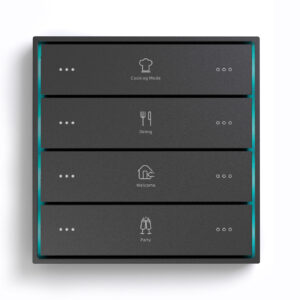 Citron Switch Black (2515)