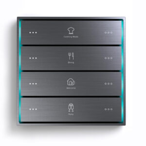 Citron Switch Grey (2516)