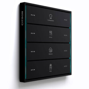 Citron Switch Black (2512)