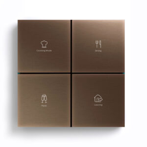 Citron Switch Bronze (2519)