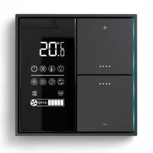 Citron Switch Black (2520)